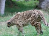 20120603-IMG 4022