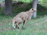 20120603-IMG 4023
