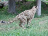 20120603-IMG 4025
