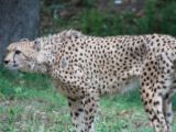20120603-IMG 4026