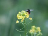 20120603-IMG 4033