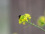 20120603-IMG 4036