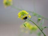 20120603-IMG 4037
