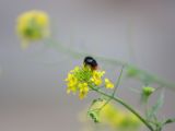 20120603-IMG 4038
