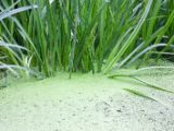 20120603-IMG 4049