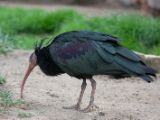 20120603-IMG 4054