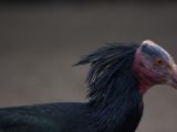 20120603-IMG 4055