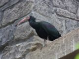 20120603-IMG 4059