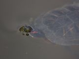 20120603-IMG 4063