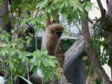 20120603-IMG 4065