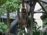 20120603-IMG 4070