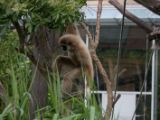 20120603-IMG 4071