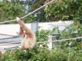 20120603-IMG 4073
