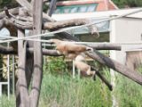 20120603-IMG 4074