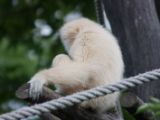 20120603-IMG 4082
