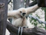 20120603-IMG 4083