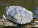 20120603-IMG 4084