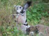 20120603-IMG 4086