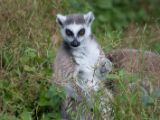 20120603-IMG 4095
