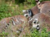 20120603-IMG 4098