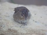 20120603-IMG 4101