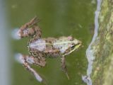 20120603-IMG 4112