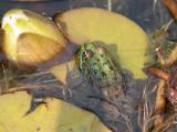 20120603-IMG 4113
