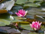 20120603-IMG 4114