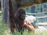 20120603-IMG 4121