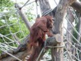 20120603-IMG 4128