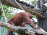 20120603-IMG 4131