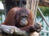 20120603-IMG 4136