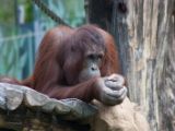 20120603-IMG 4137