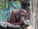 20120603-IMG 4138