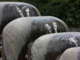 20120603-IMG 4140