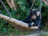 20140622-IMG 5681