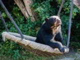 20140622-IMG 5683