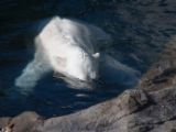 20140622-IMG 5696