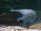 20140622-IMG 5701