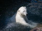 20140622-IMG 5706