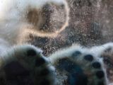 20140622-IMG 5726