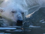 20140622-IMG 5779
