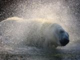 20140622-IMG 5787