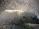 20140622-IMG 5789