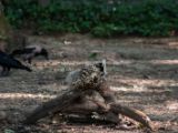 20140622-IMG 5847