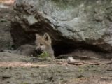 20140622-IMG 5855