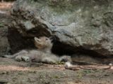 20140622-IMG 5860
