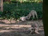 20140622-IMG 5868