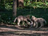 20140622-IMG 5874