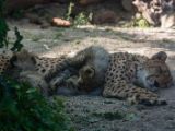 20140622-IMG 5883